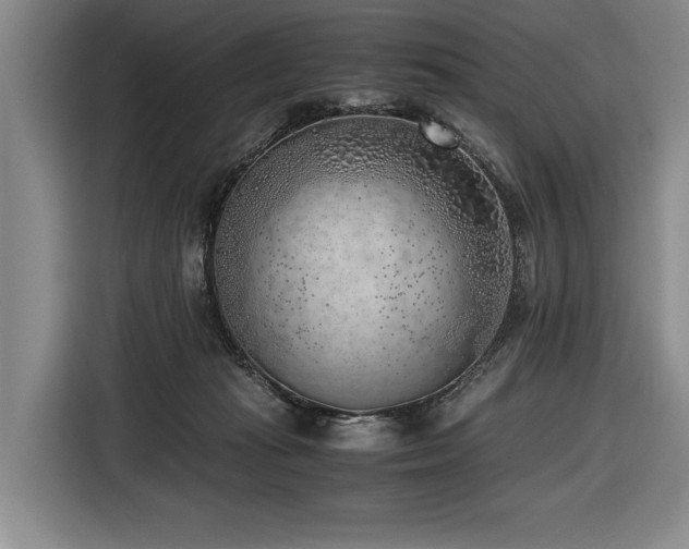 X0000116620269200912111202