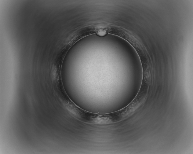 X0000116620270200912111202