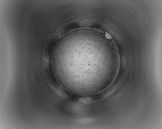 X0000116620271200912111202