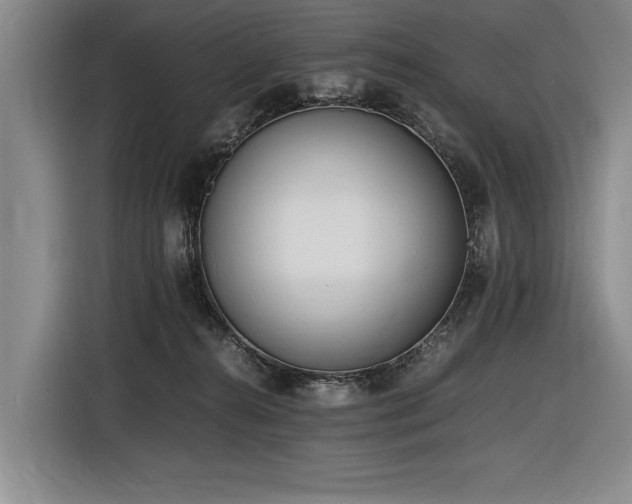 X0000116620272200912111202