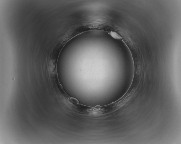 X0000116620273200912111202