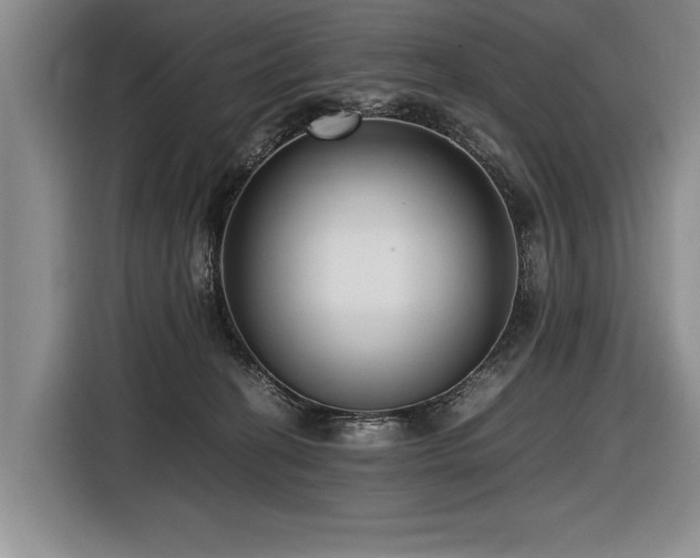 X0000116620274200912111202