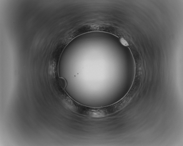 X0000116620275200912111202