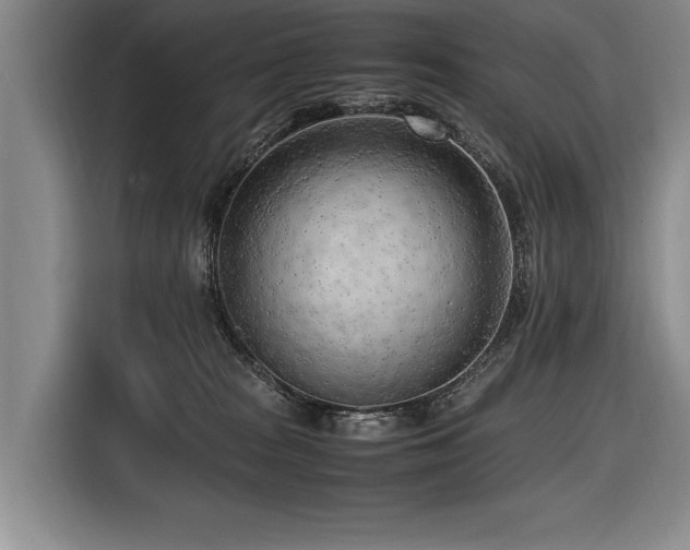 X0000116620277200912111202