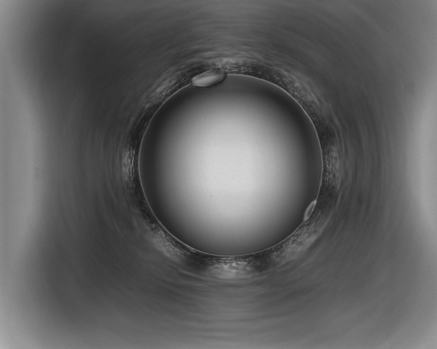 X0000116620278200912111202