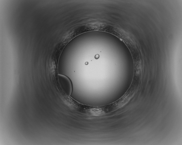 X0000116620279200912111202