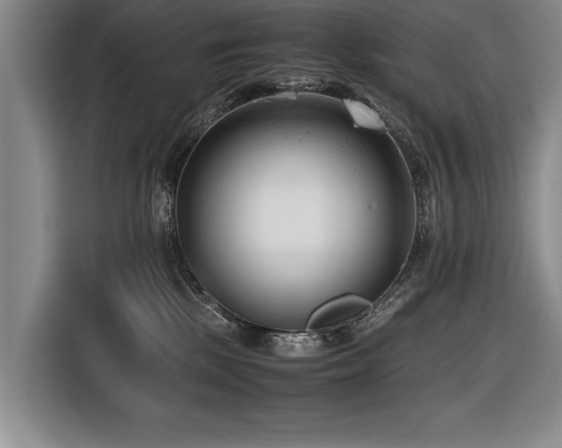 X0000116620281200912111202