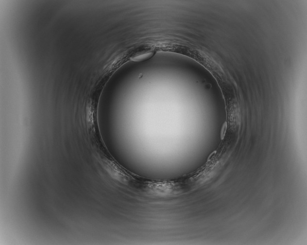 X0000116620282200912111203