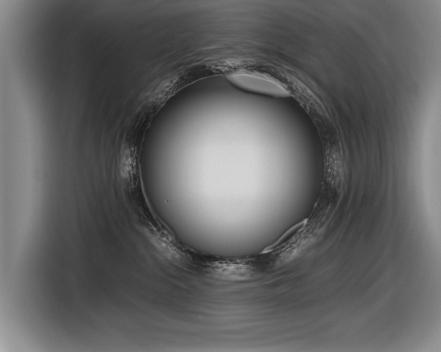 X0000116620284200912111203