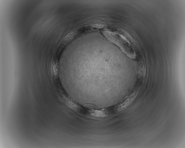 X0000116620285200912111203