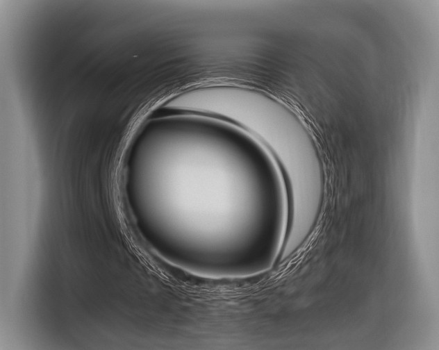 X0000116620289200912111202