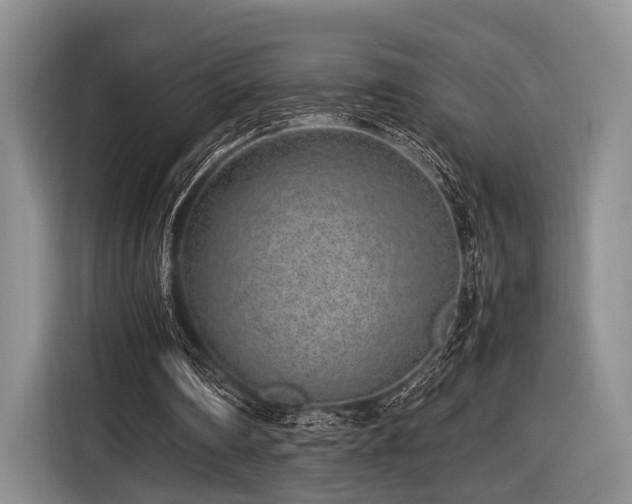 X0000116620290200912111202
