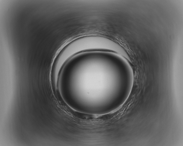 X0000116620292200912111202