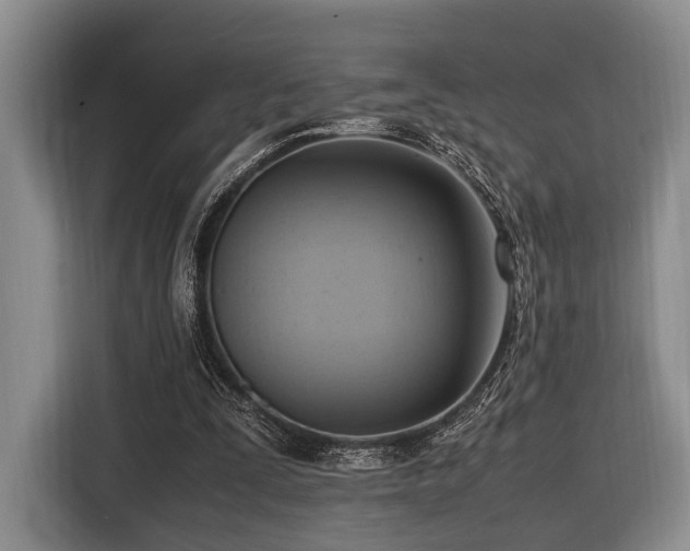 X0000116620295200912111202