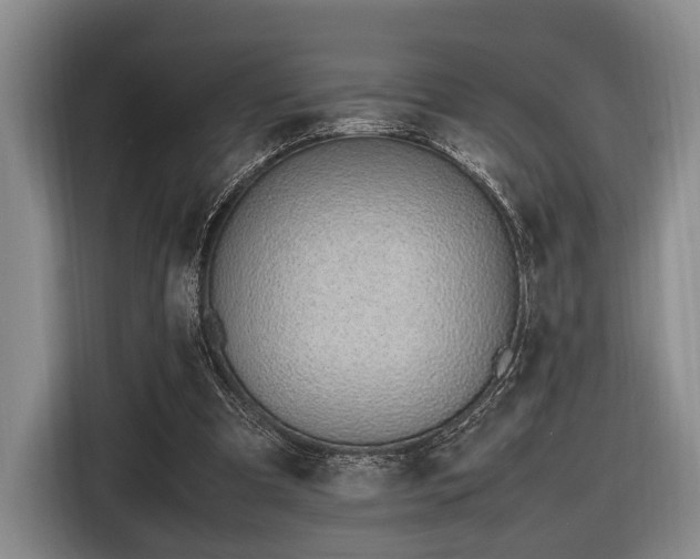 X0000116620297200912111202