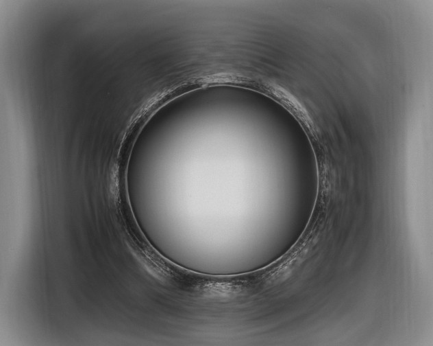 X0000116620298200912111202