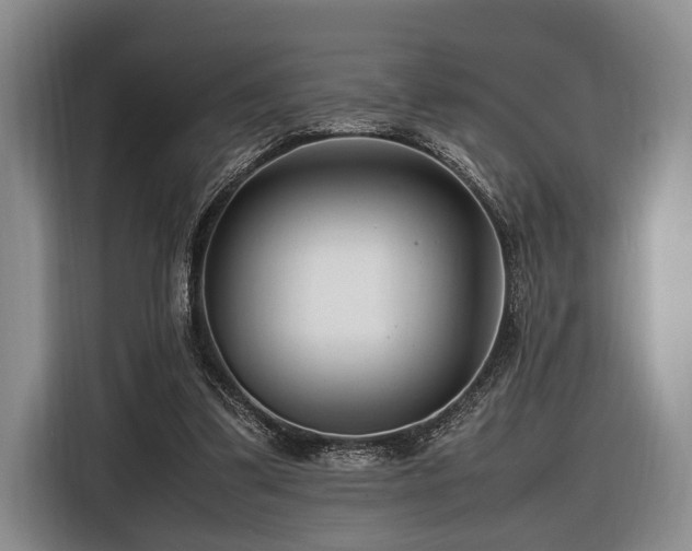 X0000116620299200912111202
