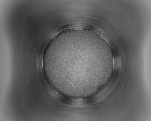 X0000116620301200912111202