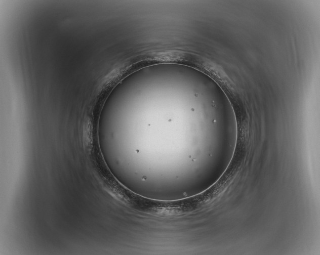 X0000116620303200912111202