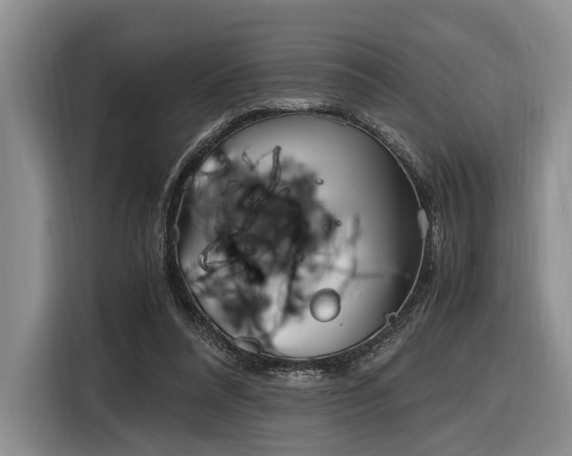 X0000116620304200912111202