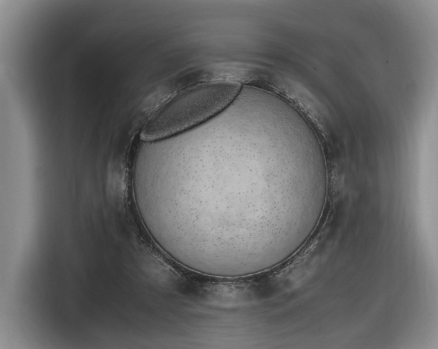 X0000116620305200912111202