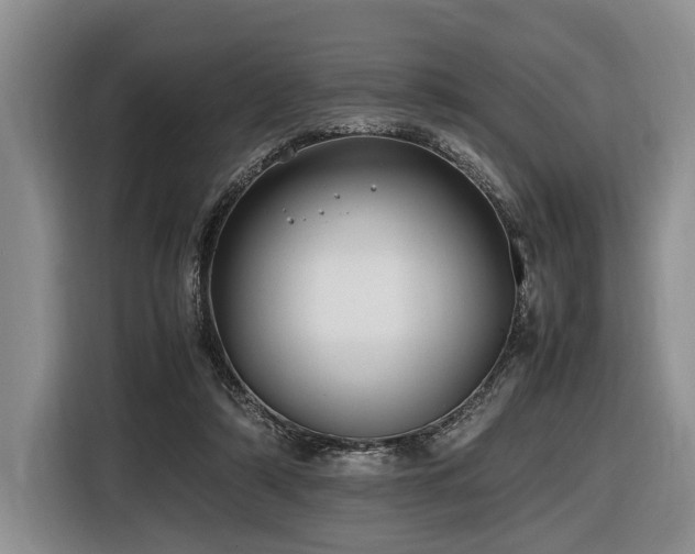 X0000116620306200912111202