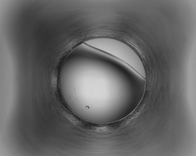 X0000116620309200912111202