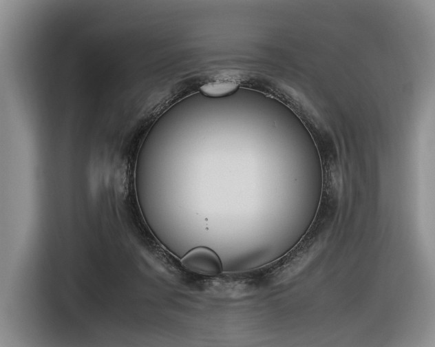 X0000116620311200912111202