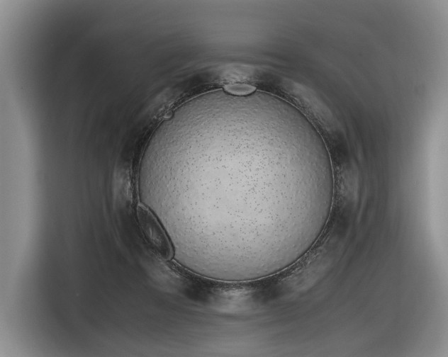 X0000116620313200912111202