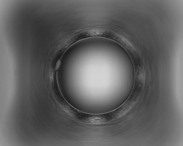 X0000116620315200912111202