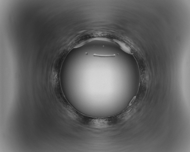 X0000116620327200912111201