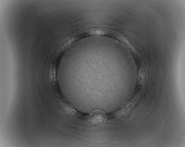 X0000116620330200912111201