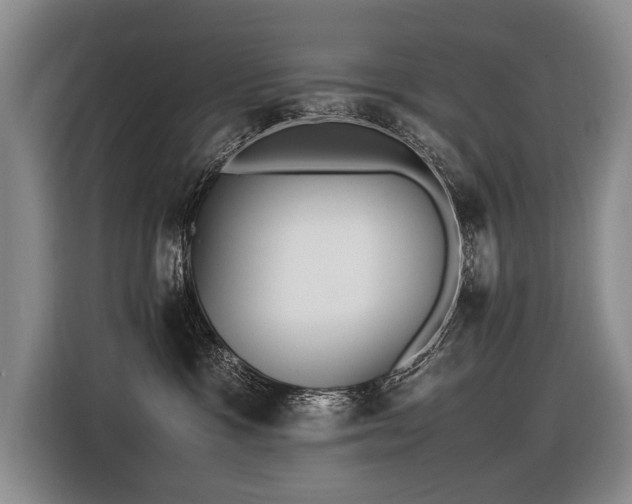 X0000116620333200912111201