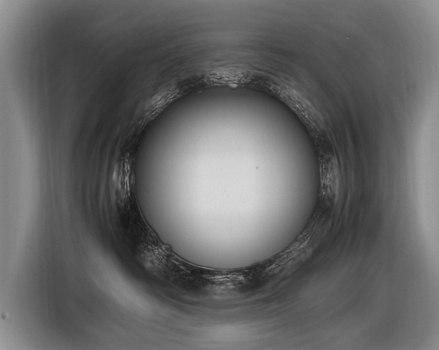 X0000116620334200912111201