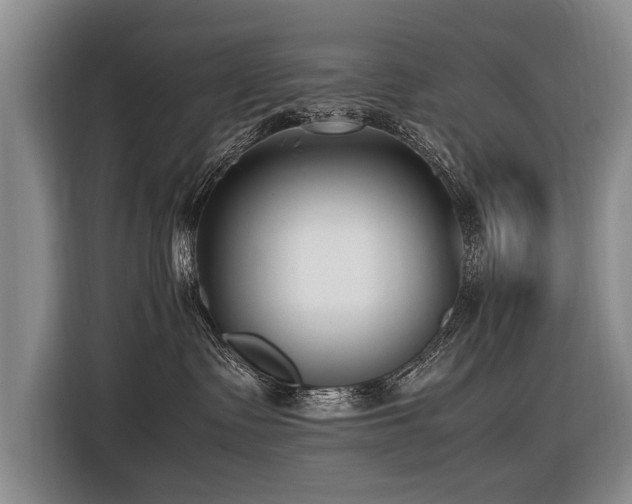 X0000116620335200912111201