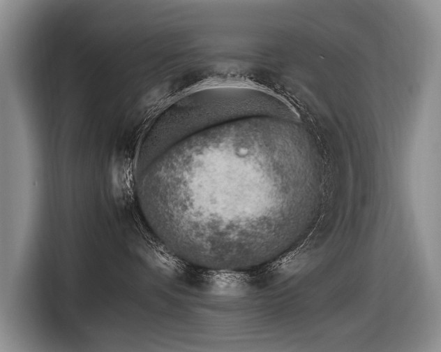 X0000116620336200912111201