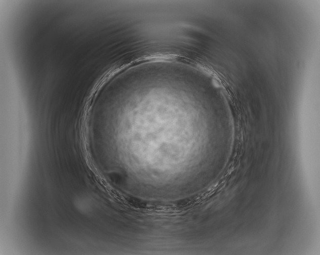 X0000116620337200912111201