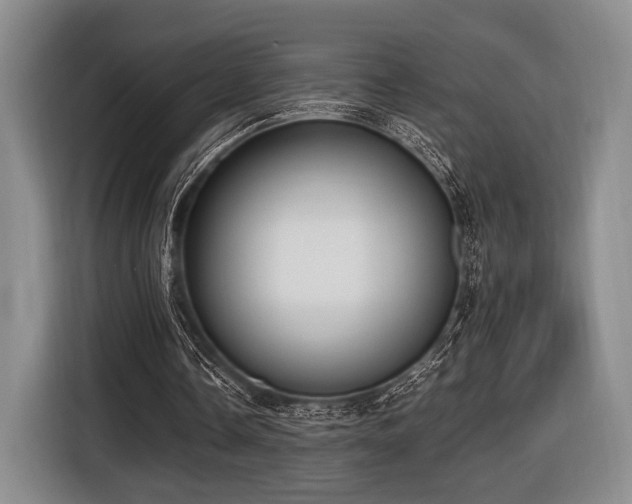 X0000116620338200912111201