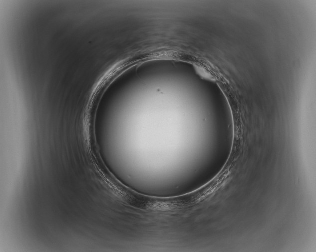 X0000116620341200912111201