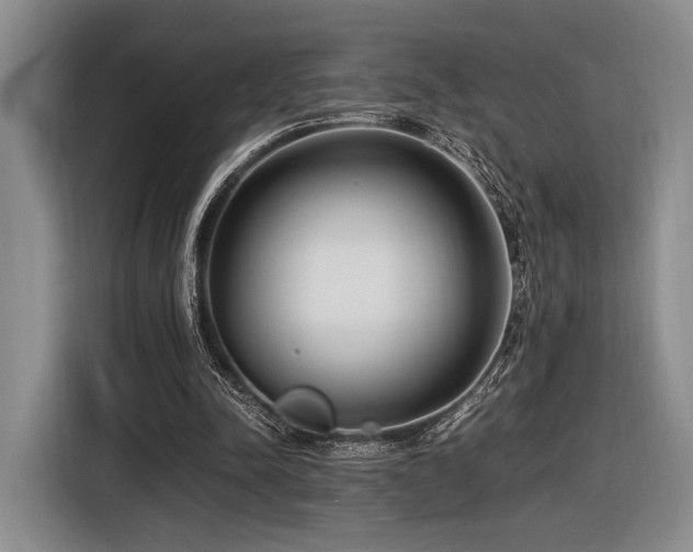 X0000116620342200912111201