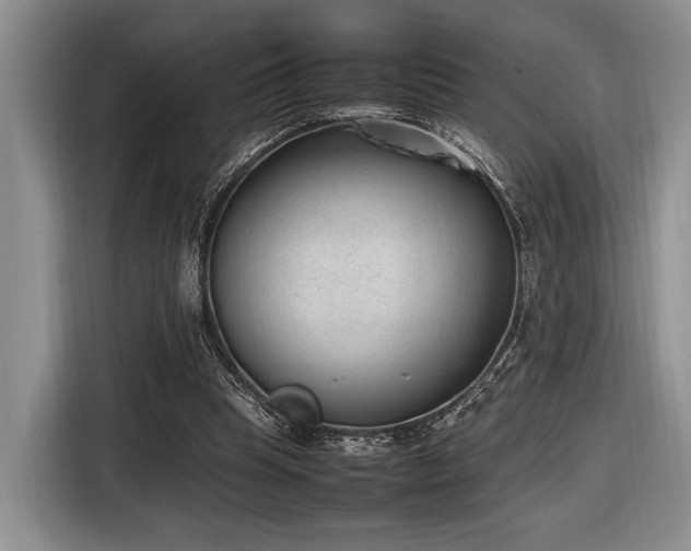 X0000116620345200912111201