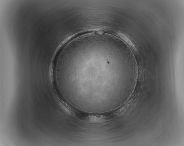 X0000116620346200912111201