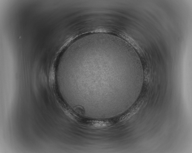 X0000116620347200912111201