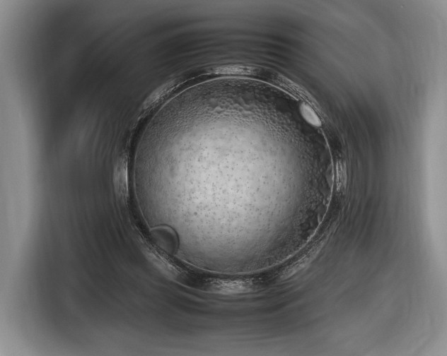X0000116620349200912111201