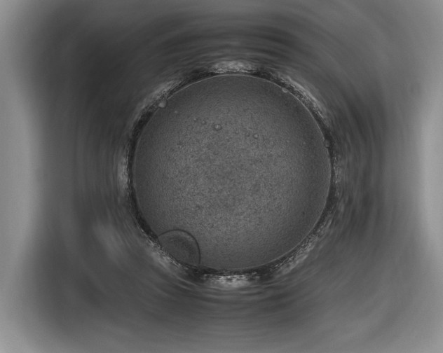 X0000116620353200912111201