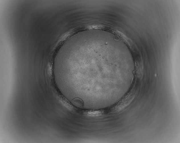 X0000116620357200912111201
