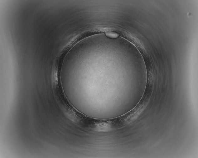X0000116620358200912111201