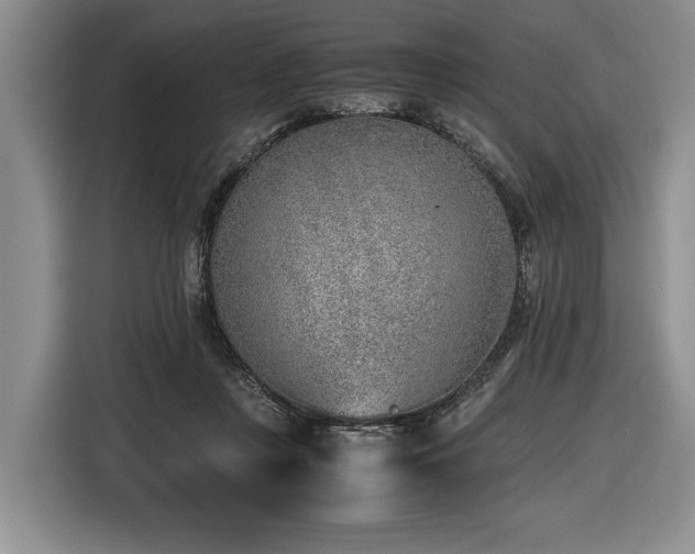 X0000116620359200912111201