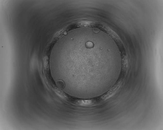 X0000116620361200912111201