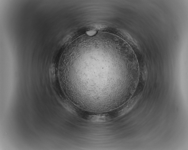 X0000116620366200912111201